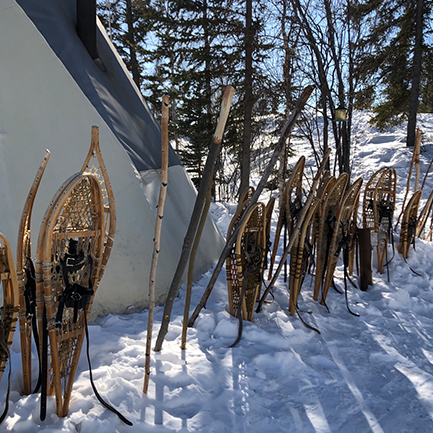 Snowshoe Experience